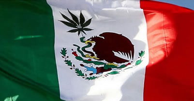 Mexican President Enrique Pena Nieto Rules Out Marijuana Legalization